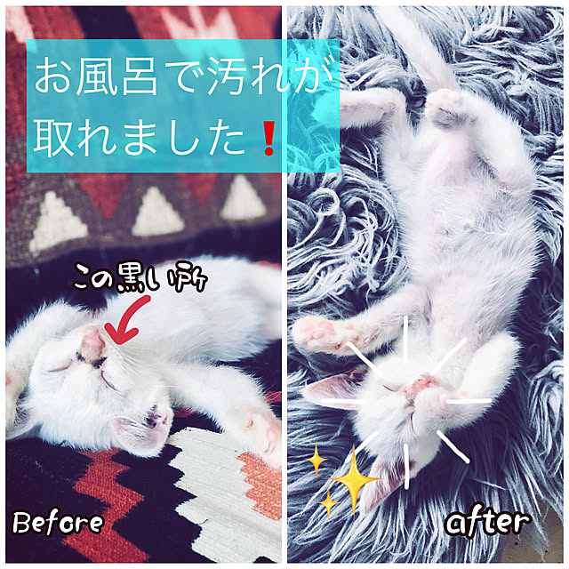 maroさんの実例写真