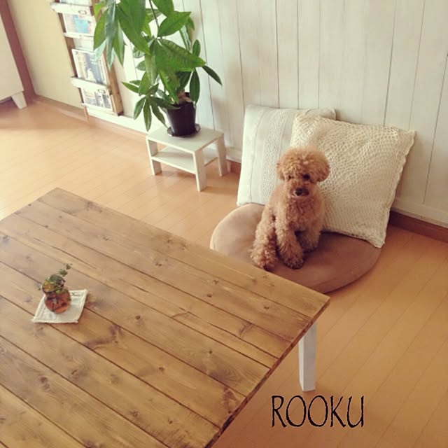 rookuさんの実例写真