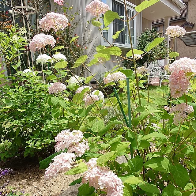 fleur-mamanさんの部屋