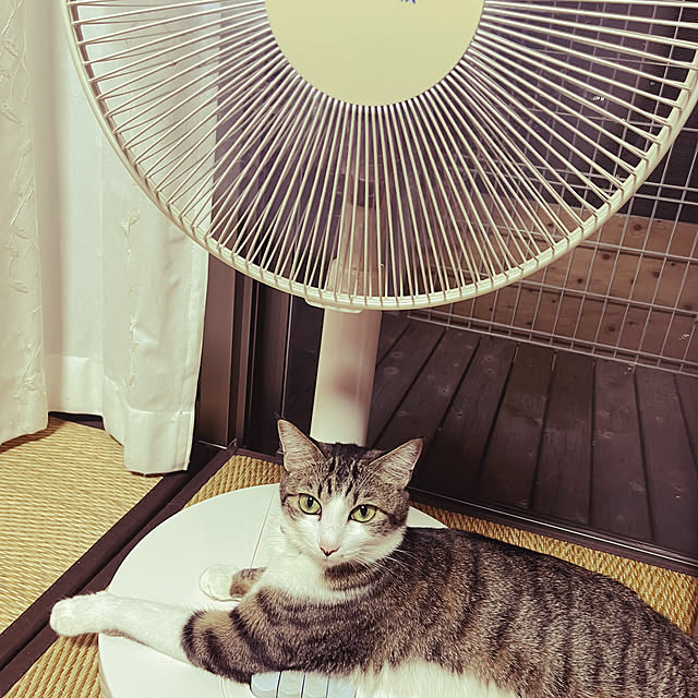 nacchi4さんの部屋