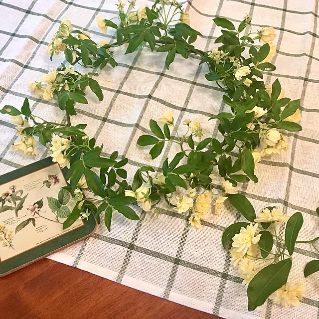 Claraさんの実例写真