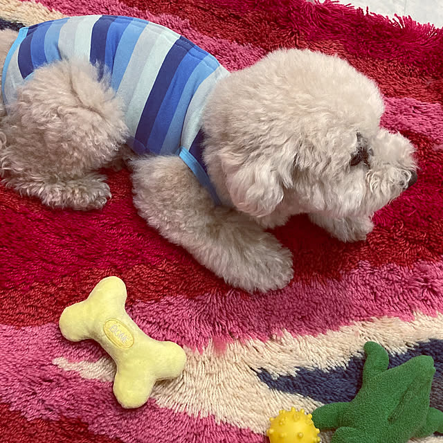 madamkaoriさんの部屋