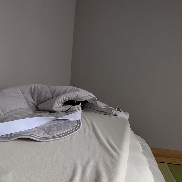 hihaさんの実例写真