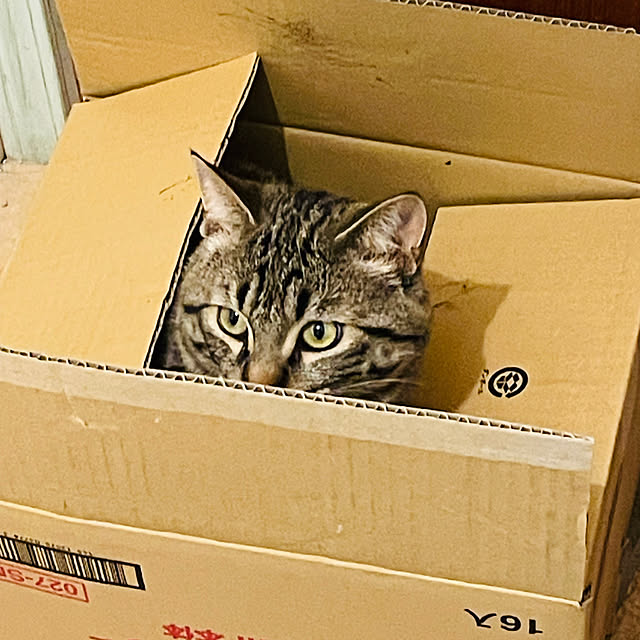 usaakoさんの部屋