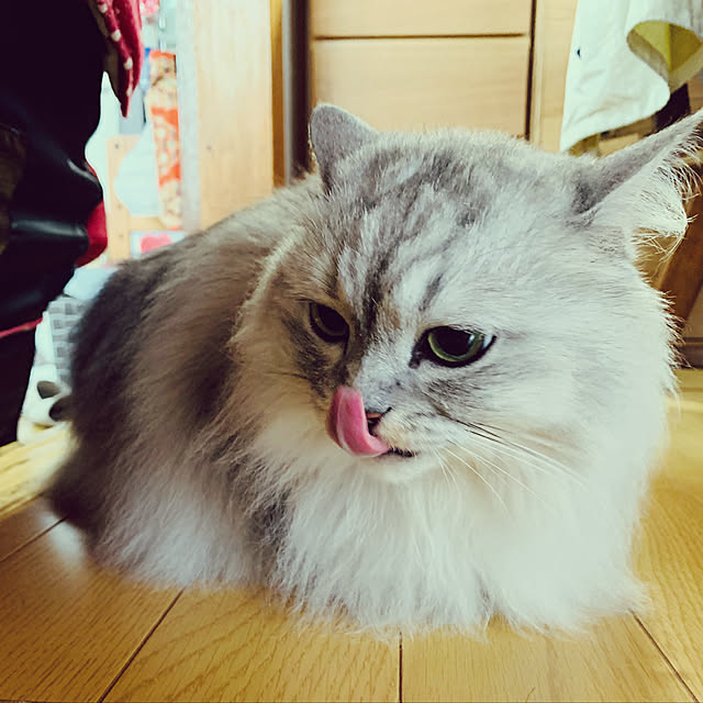 fuwafuwa0215さんの実例写真