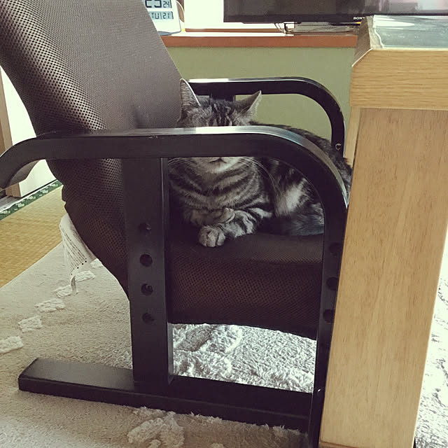 richanさんの実例写真