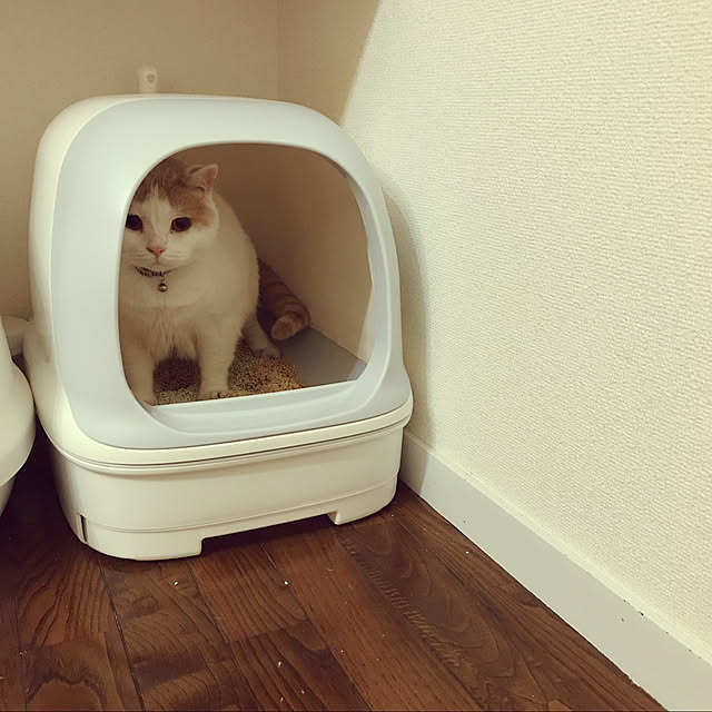amutantanさんの実例写真