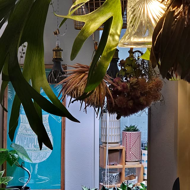 nonbiri_house_さんの部屋