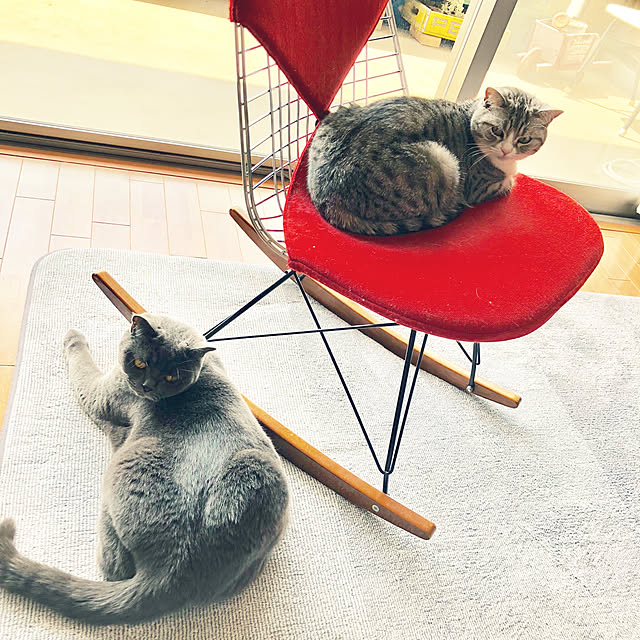 Shojiさんの実例写真
