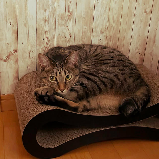 Mさんの実例写真