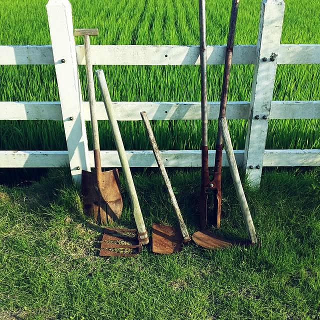 hanaさんの実例写真