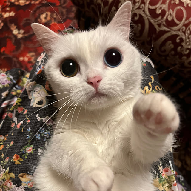AYUKOさんの部屋