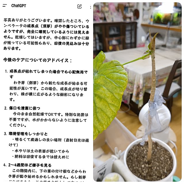 mariaさんの部屋
