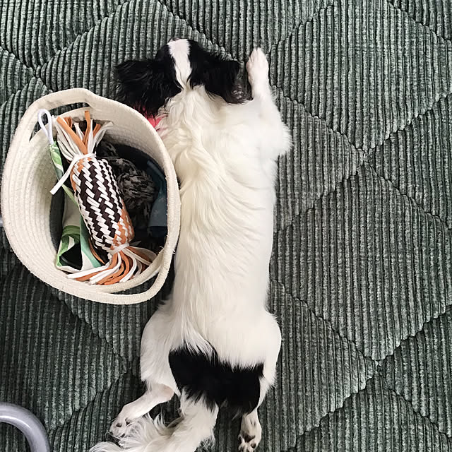 sakuさんの部屋