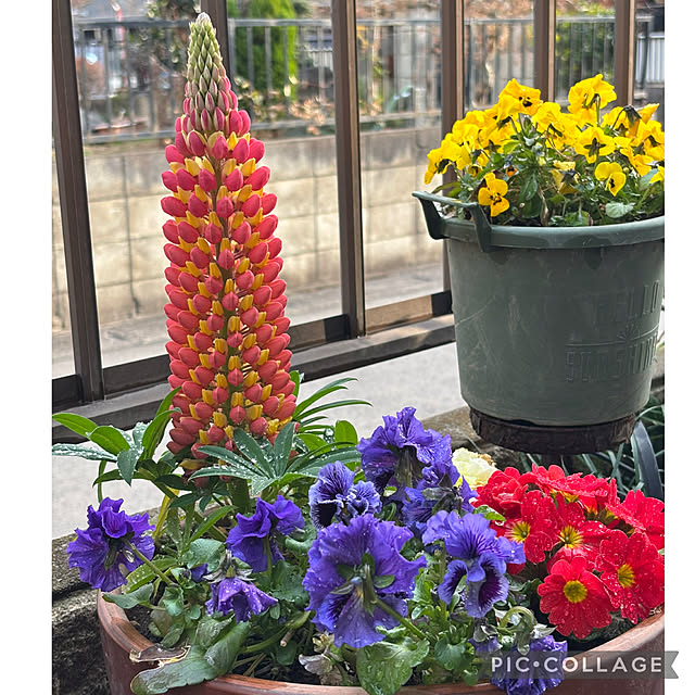 Smilkazuさんの実例写真