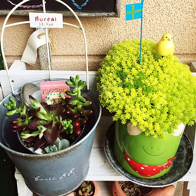 takakoさんの実例写真