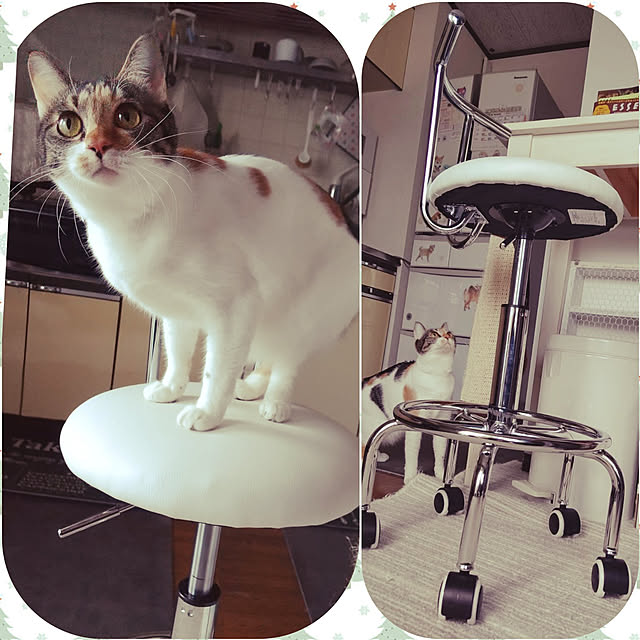 momoki1020さんの実例写真