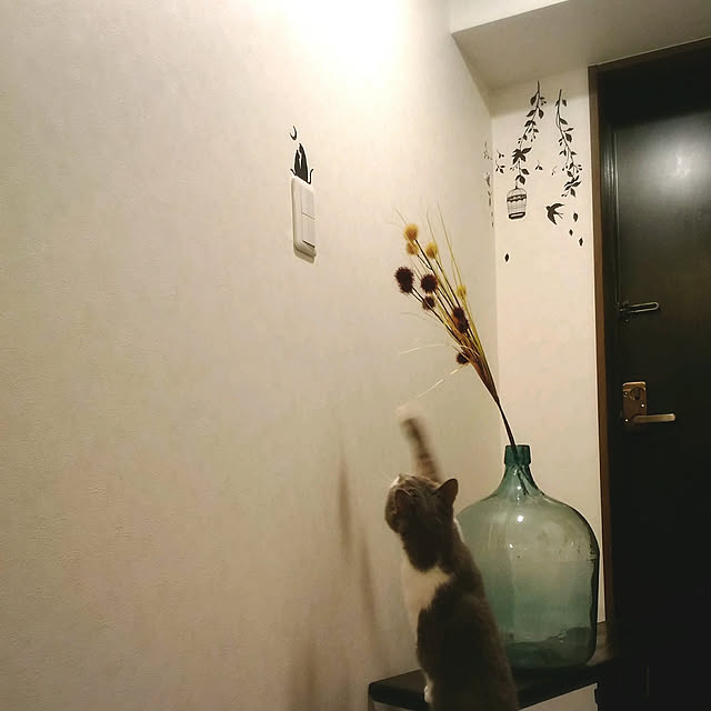 lovepandaさんの実例写真