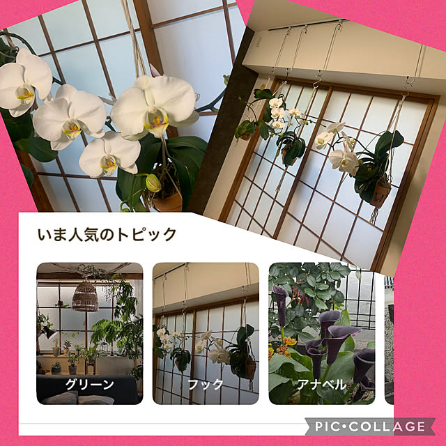 Aqettyさんの実例写真