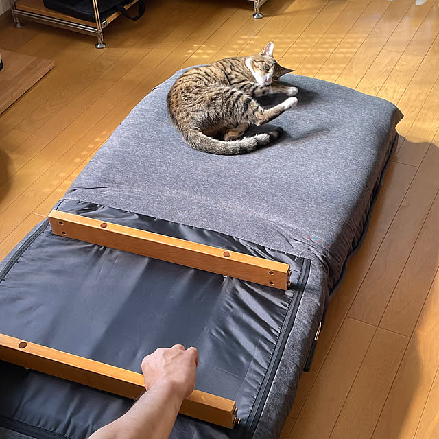 nobikoさんの部屋