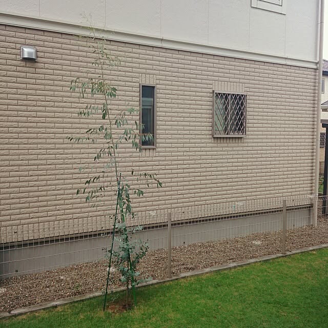 urchinさんの実例写真