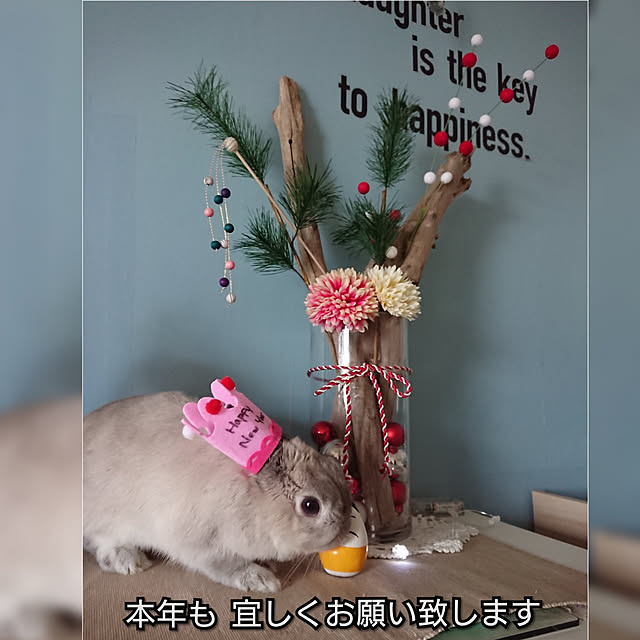yokomokoさんの実例写真