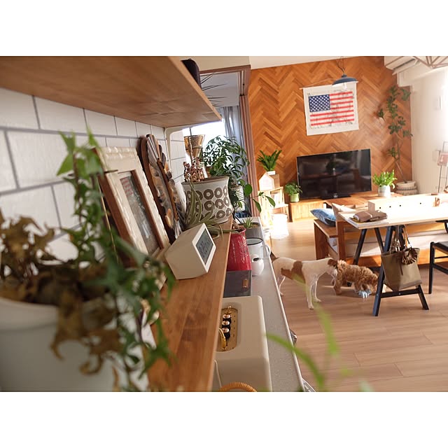 hara0707さんの実例写真