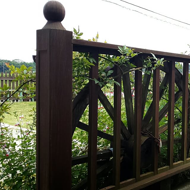 hanaさんの実例写真
