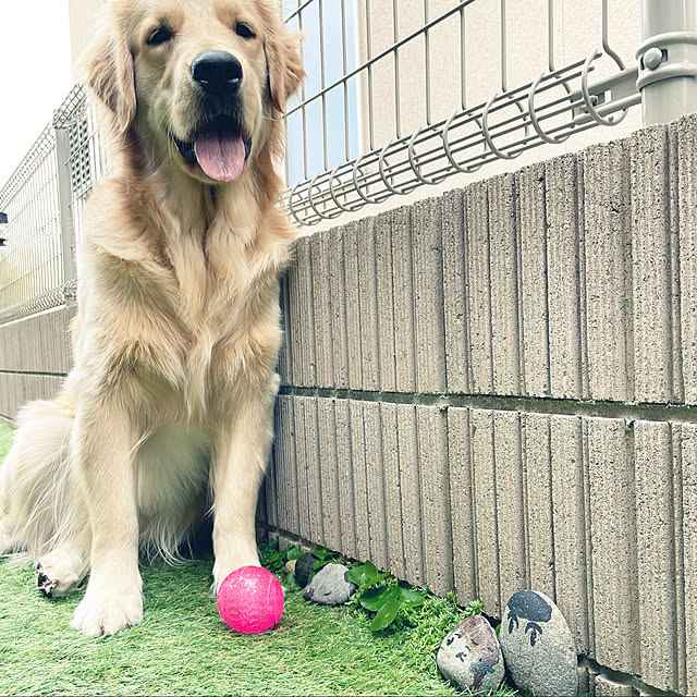 marinkoさんの実例写真