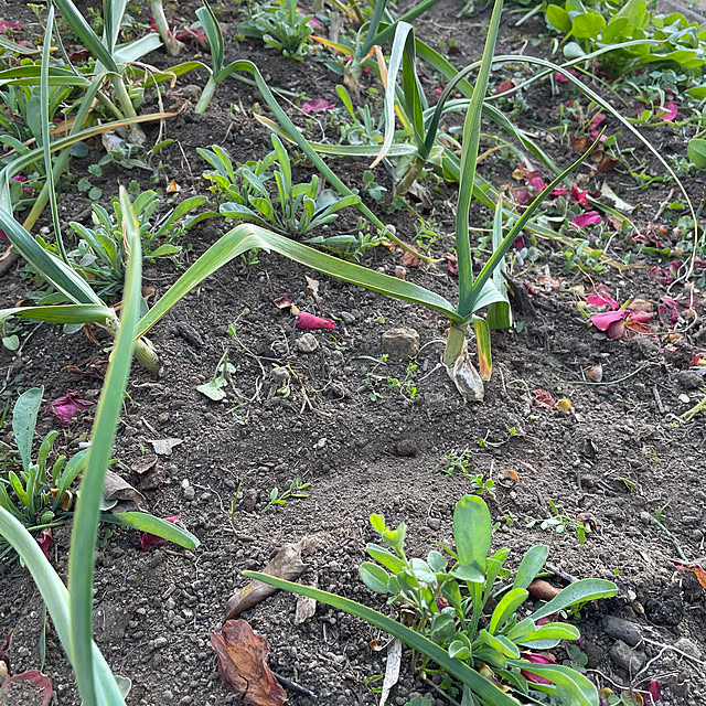 natsumiさんの部屋