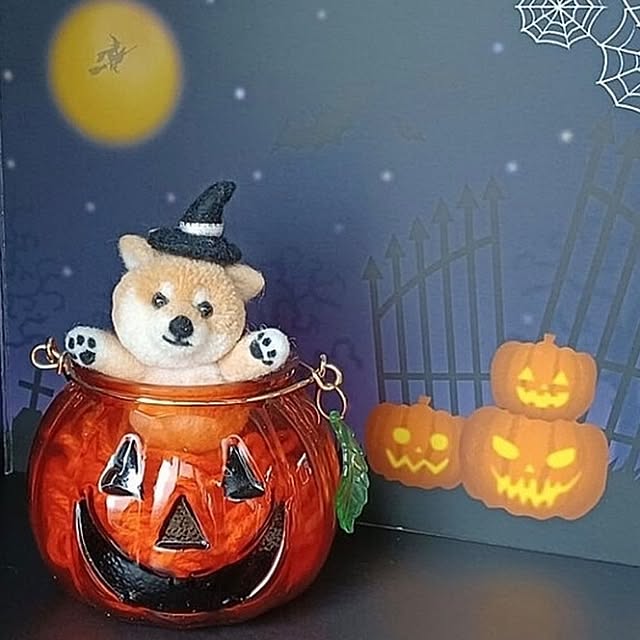 nanaさんの実例写真