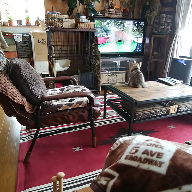Brown.Lifeさんの実例写真