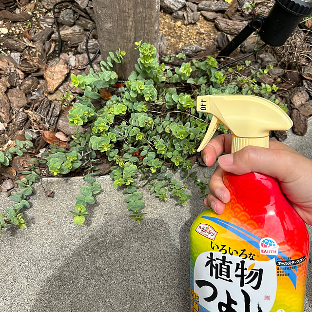 nekekinさんの実例写真