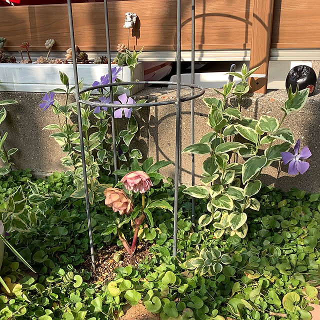 haruminさんの部屋