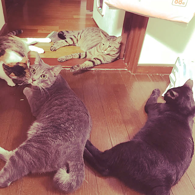 mayumasa22さんの実例写真