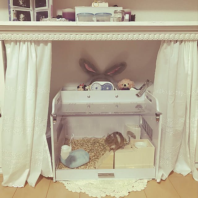 meshiさんの実例写真