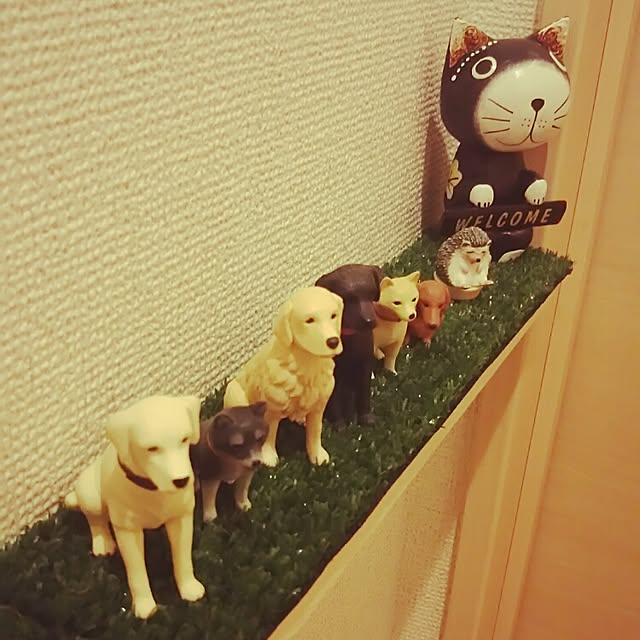 imoanさんの実例写真