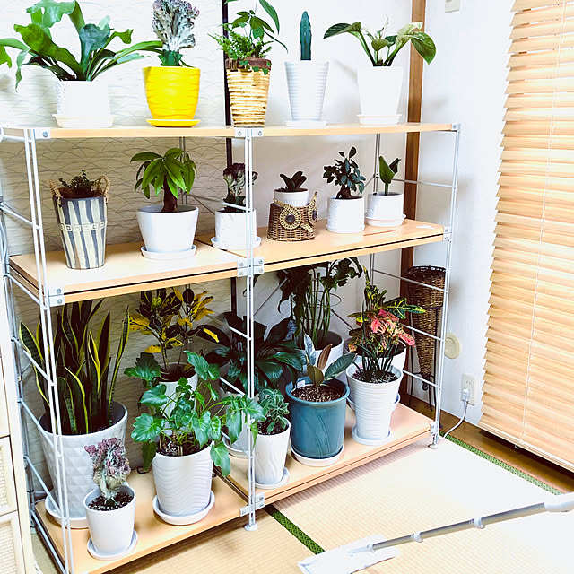 hanachanさんの部屋