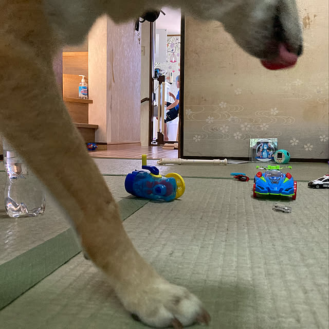 luckyさんの実例写真