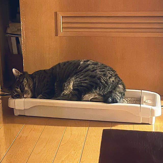 Mさんの実例写真