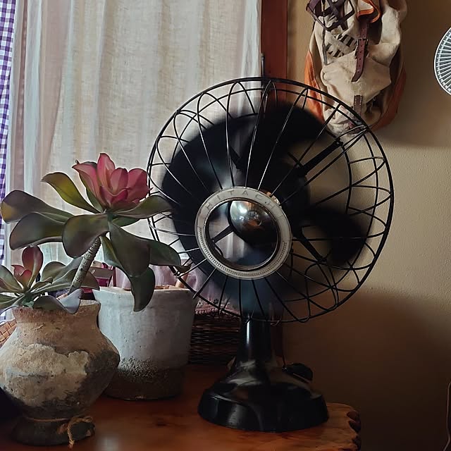 akaidarumaさんの実例写真