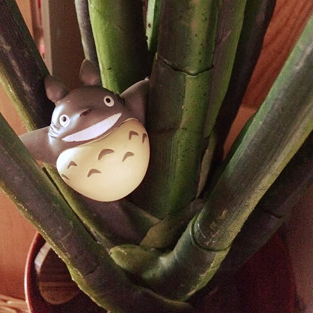 rinaさんの実例写真