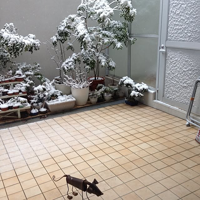 KEROさんの実例写真