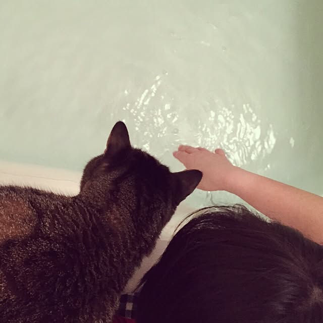 6さんの実例写真