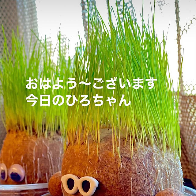 Hiroakiさんの実例写真