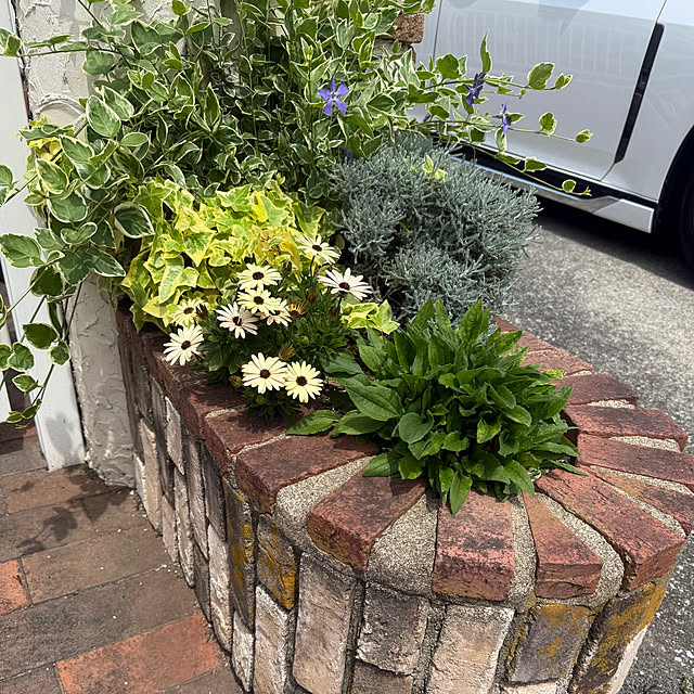 sachieyさんの実例写真