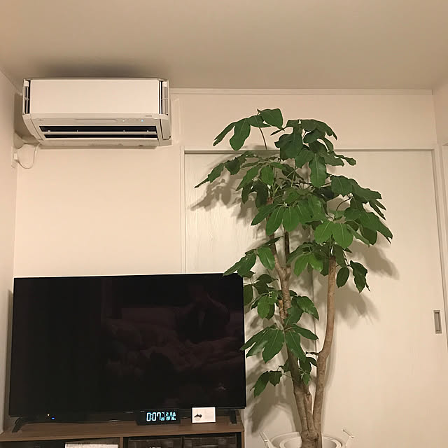 mokaさんの実例写真