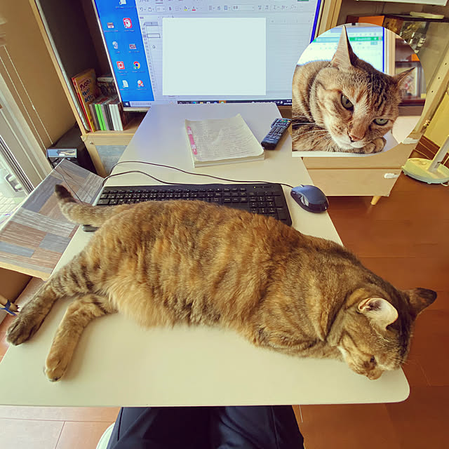 hansho.sさんの実例写真