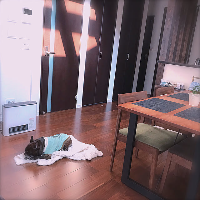 ttf___bさんの実例写真