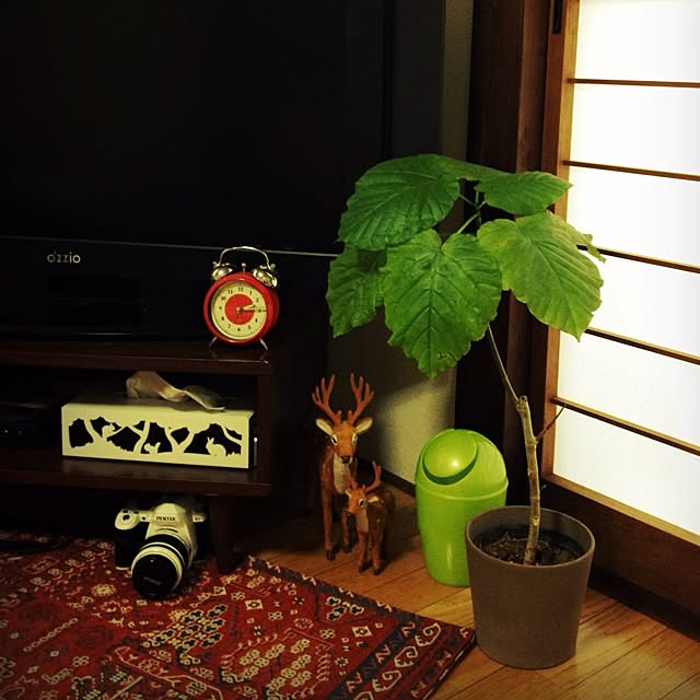 homi38さんの実例写真